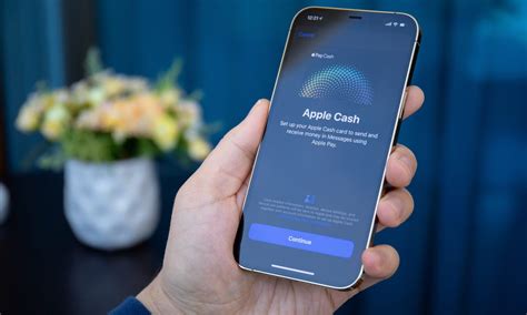 Venmo, Cash App Users File Class Action Over Apples Control。